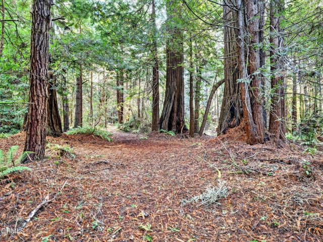 Detail Gallery Image 44 of 49 For 19400 Dorffi Rd, Fort Bragg,  CA 95437 - 3 Beds | 2/1 Baths