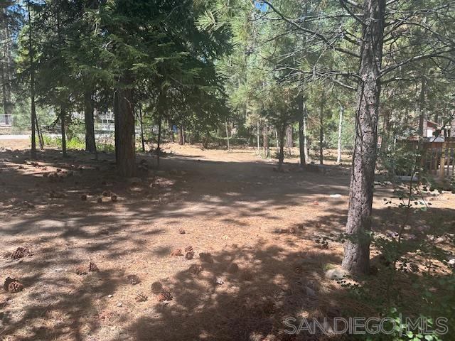 535 W Rainbow Blvd, Big Bear CA: https://media.crmls.org/mediaz/46580433-8f73-478a-b912-8895384e2a17.jpg
