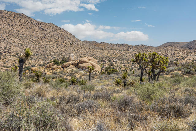 Image 8 of 26 For 101 Hondo Street