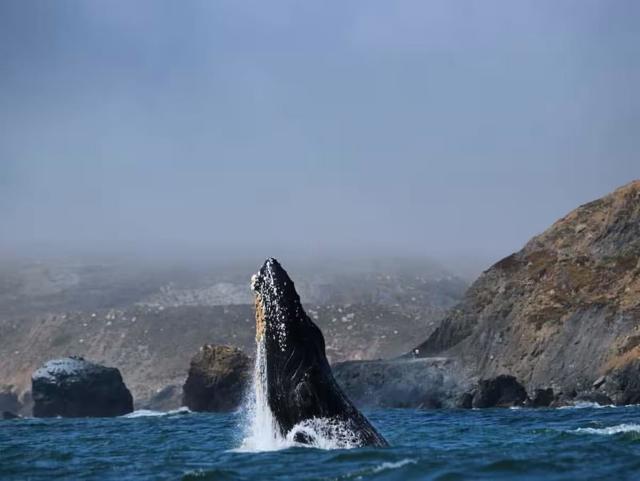 847 Arguello Boulevard, Pacifica CA: https://media.crmls.org/mediaz/465ceed4-496b-49af-8cc2-df8b03400156.jpg