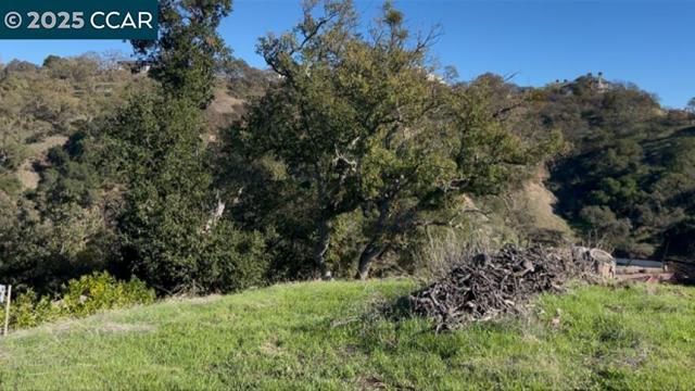 2378 Heritage Oaks Dr, Alamo CA: https://media.crmls.org/mediaz/465d3eb0-44ad-4aa7-bbda-93e1d8715800.jpg