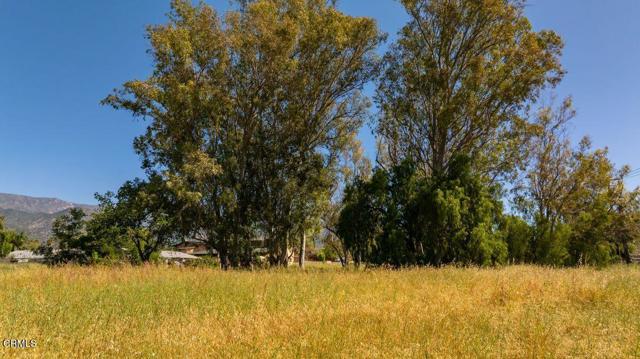 Detail Gallery Image 8 of 30 For 401 S Fulton St, Ojai,  CA 93023 - – Beds | – Baths