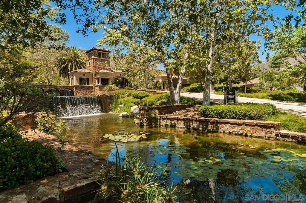 MLS #250038020SD image #45