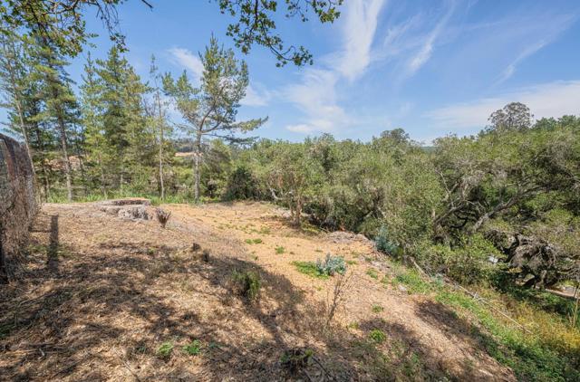 158 Echo Valley Road, Prunedale CA: https://media.crmls.org/mediaz/46744144-14e1-414a-9895-ec583de54a66.jpg