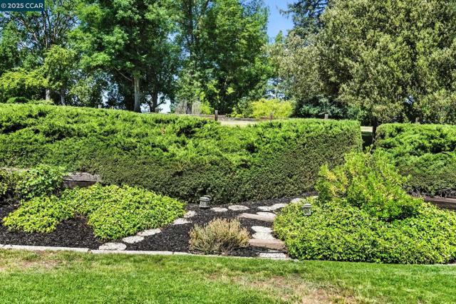 575 Old Orchard Dr, Danville CA: https://media.crmls.org/mediaz/46775a90-2d7e-4fce-b64b-586790995235.jpg