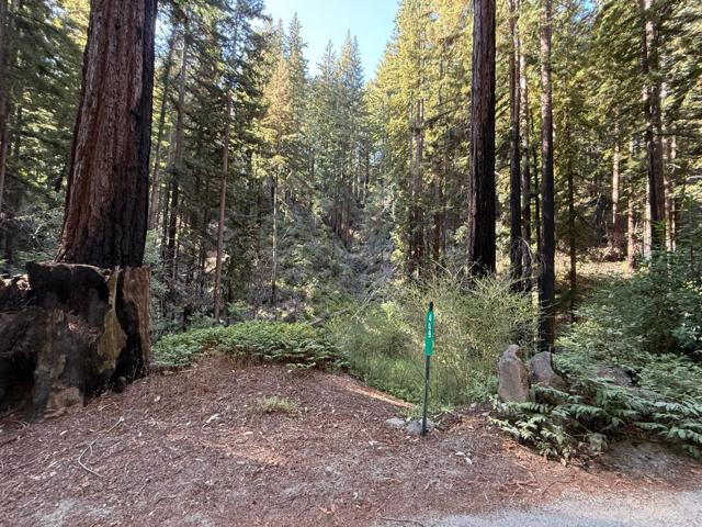 449 Band Road, Boulder Creek CA: https://media.crmls.org/mediaz/467a4256-41cf-4e55-ac78-03676eb85a0d.jpg