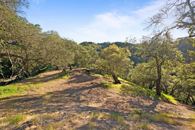 3533 Springhill Road, Lafayette CA: https://media.crmls.org/mediaz/468ad774-ac4d-4e1d-a2ab-c5f99f43e96a.jpg