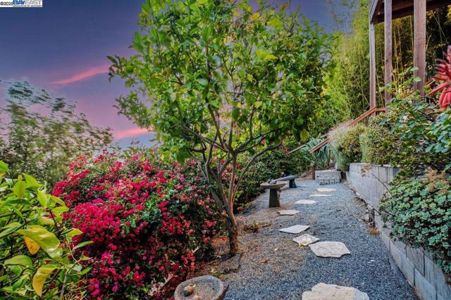 31865 Chicoine Ave, Hayward CA: https://media.crmls.org/mediaz/468daadd-eddf-4b8f-a896-e693fed683d1.jpg