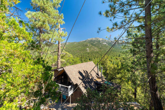 54020 Linger Ln, Idyllwild, CA 92549