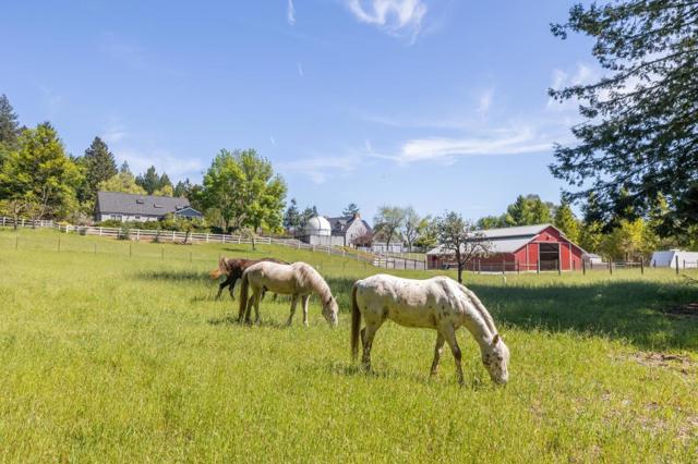 23020 Old Santa Cruz Highway, Los Gatos CA: https://media.crmls.org/mediaz/46926d98-a3b7-4027-90c7-4dd9f5f96587.jpg