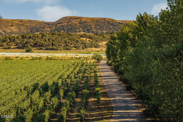 1700 Gypsy Canyon Road, Lompoc CA: https://media.crmls.org/mediaz/4694a904-6eef-4092-aa49-ba7a3ede6eca.jpg