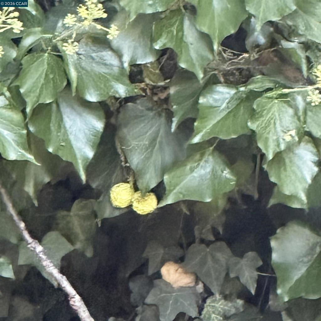 https://media.crmls.org/mediaz/4696be8d-8290-4d8a-bcf9-d0b5f8d4e078.jpg?preset=X-Large