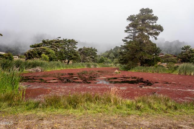 Detail Gallery Image 26 of 28 For 15741 Forest View Rd, Manchester,  CA 95459 - 3 Beds | 2 Baths