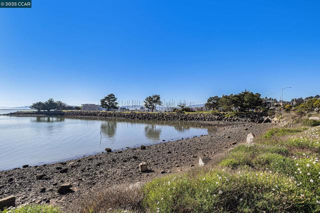 Image 41 of 50 For 203 Seacliff Way