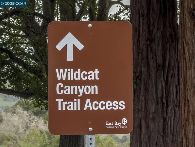 1511 Olive Ave, Richmond CA: https://media.crmls.org/mediaz/46a27a6e-41f5-4f16-91c5-424f06e2607e.jpg