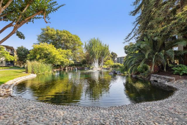 847 N Humboldt Street, San Mateo CA: https://media.crmls.org/mediaz/46a28002-b63c-49e1-83a3-59b1ae591c56.jpg