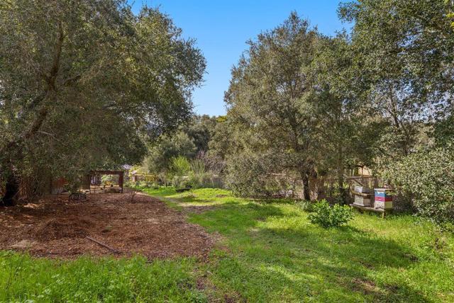 Image 45 of 55 For 9710 Live Oak Avenue