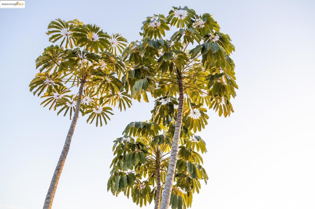 https://media.crmls.org/mediaz/46a86f33-46a3-433e-bb74-d9d26808eb53.jpg?preset=X-Large