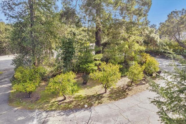 15041 Park Drive, Saratoga CA: https://media.crmls.org/mediaz/46ab4ab3-d257-47a1-b293-cb1485007131.jpg