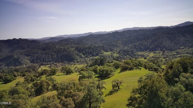 Detail Gallery Image 10 of 59 For 24051 Fig Tree Ln, Yorkville,  CA 95494 - – Beds | – Baths