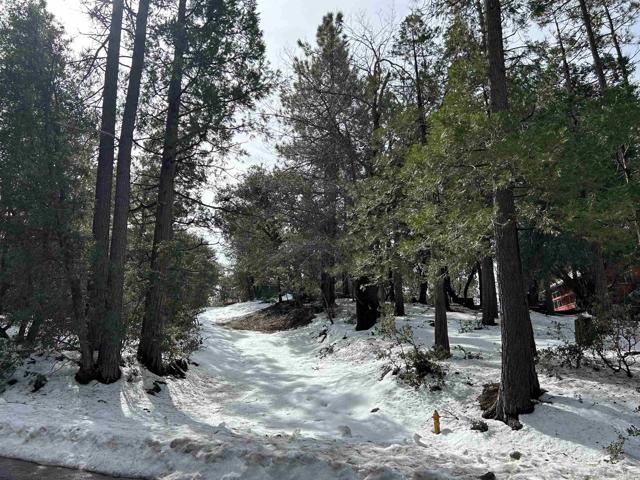 Image 3 for 8 Saunders Meadow Rd, Idyllwild, CA 92549