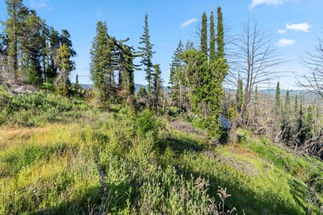1410 Pinecrest Drive, Boulder Creek CA: https://media.crmls.org/mediaz/46bdfd85-4cbe-422d-a9a6-a330cb3f37c9.jpg
