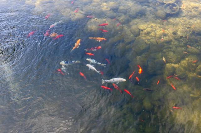 23020 Old Santa Cruz Highway, Los Gatos CA: https://media.crmls.org/mediaz/46c9b76d-0532-4504-bf56-d34263b4d777.jpg