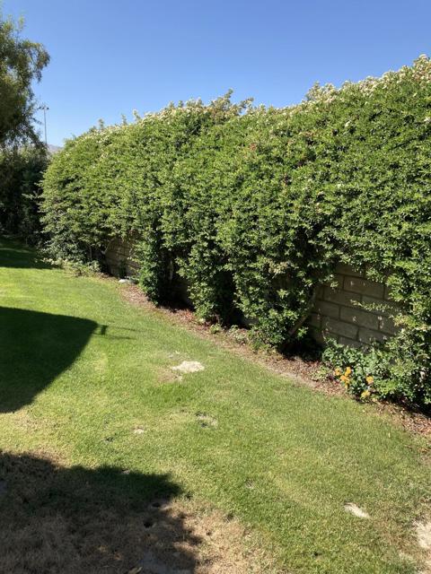 69411 Ramon Road, Cathedral City CA: https://media.crmls.org/mediaz/46cb489f-e803-4b13-ba19-2563510a78fe.jpg