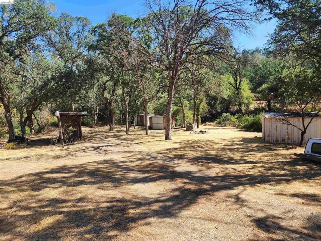 16612 Stagecoach Rd, Corning CA: https://media.crmls.org/mediaz/46d793fb-e97e-45ce-87a3-b8ec8a2d535e.jpg