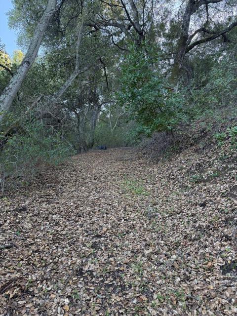 0 Chesbro Lake Drive, Morgan Hill CA: https://media.crmls.org/mediaz/46dd882f-6cd4-4352-9869-c258ac3eecc0.jpg