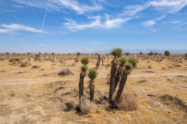 0 TBD, Palmdale CA: https://media.crmls.org/mediaz/46deb7cd-2085-42a9-828c-b7f41b7a8397.jpg