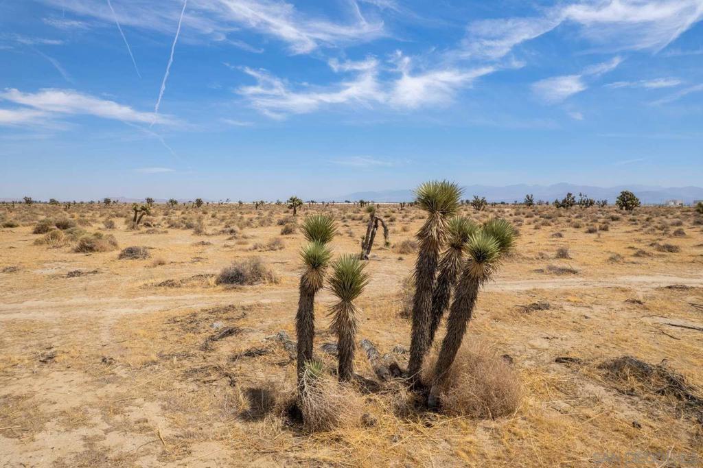 MLS #250036170SD image #20