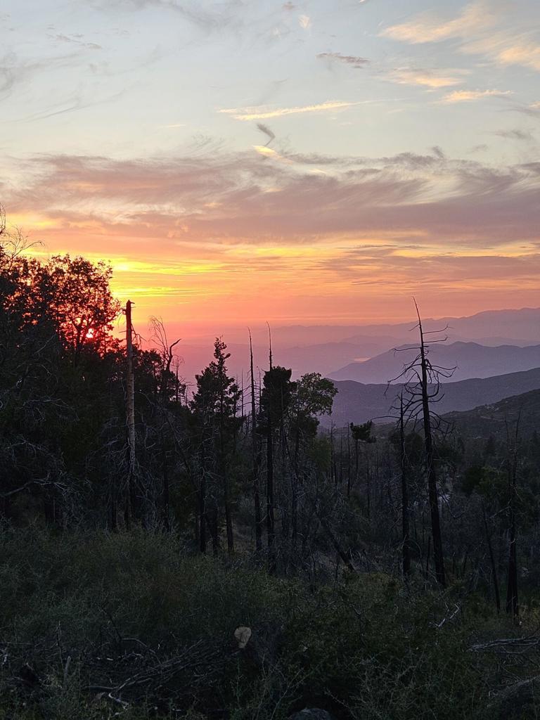 https://media.crmls.org/mediaz/46efaa6e-3dd5-4c83-b153-d1f43c353e0d.jpg?preset=X-Large
