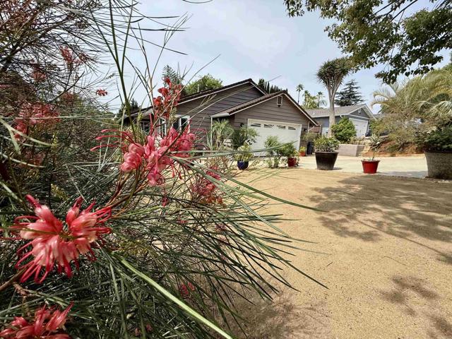 Detail Gallery Image 53 of 62 For 914 N Main Ave, Fallbrook,  CA 92028 - 3 Beds | 2 Baths