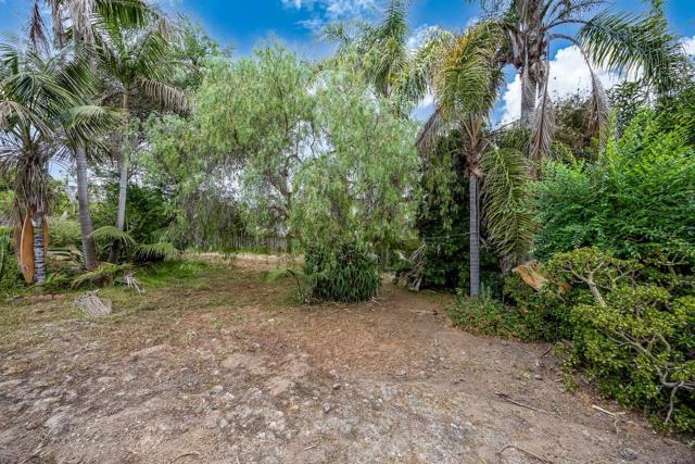 890 Capri Rd, Encinitas CA: https://media.crmls.org/mediaz/46f77c3e-8af3-47f5-a270-27063b534ca3.jpg