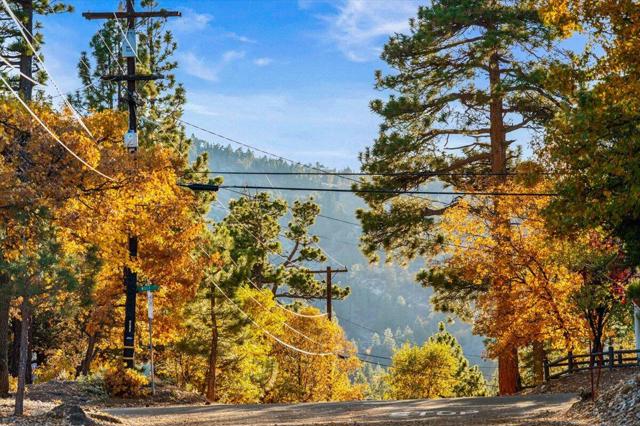 1614 S Colusa Drive, Big Bear CA: https://media.crmls.org/mediaz/46f7dc71-a6ce-4b54-a2ba-766457a40d09.jpg