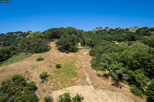 0 Monticello Rd., Lafayette CA: https://media.crmls.org/mediaz/4707772b-aee0-4283-8571-b16902c1c7f9.jpg