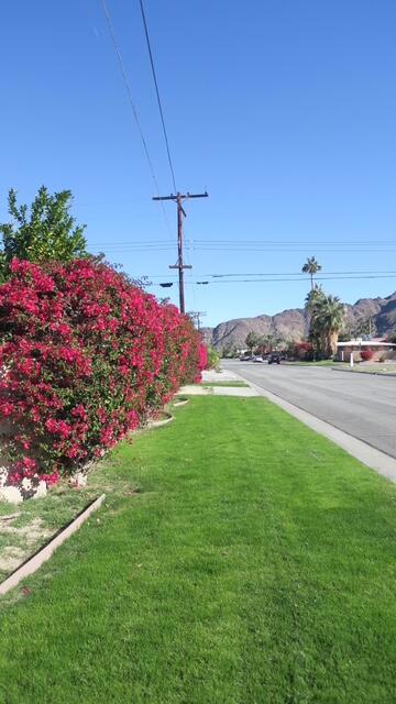 MLS #219139766DA image #29