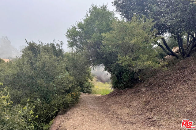 301 Loma Metisse Road, Malibu CA: https://media.crmls.org/mediaz/470bec59-d300-4176-b606-8a70db914db8.jpg