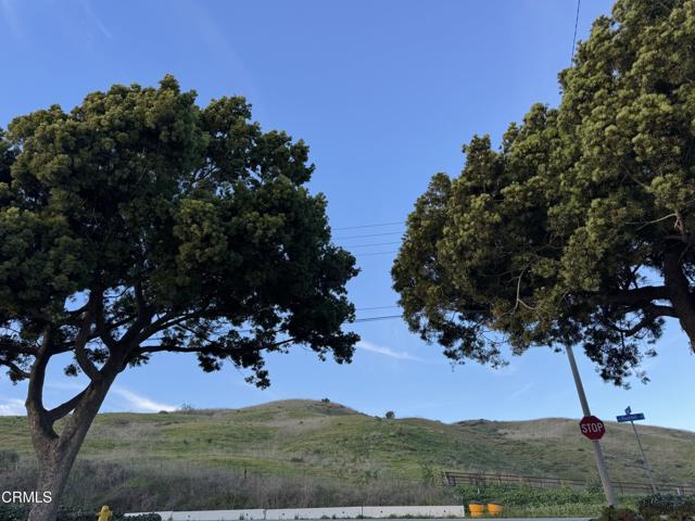 Detail Gallery Image 10 of 61 For 469 Court Ave, Ventura,  CA 93003 - 4 Beds | 3 Baths