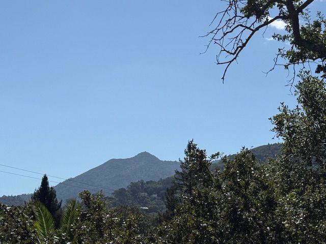 20 Brookmont Circle, San Anselmo CA: https://media.crmls.org/mediaz/471b8cf8-562e-4a32-a833-0ba77d398bf6.jpg