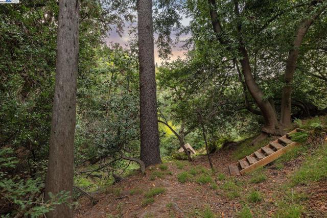 7171 HOMEWOOD DRIVE, Oakland CA: https://media.crmls.org/mediaz/471da9e3-5f5a-44d9-9e3b-a3e899b7810f.jpg