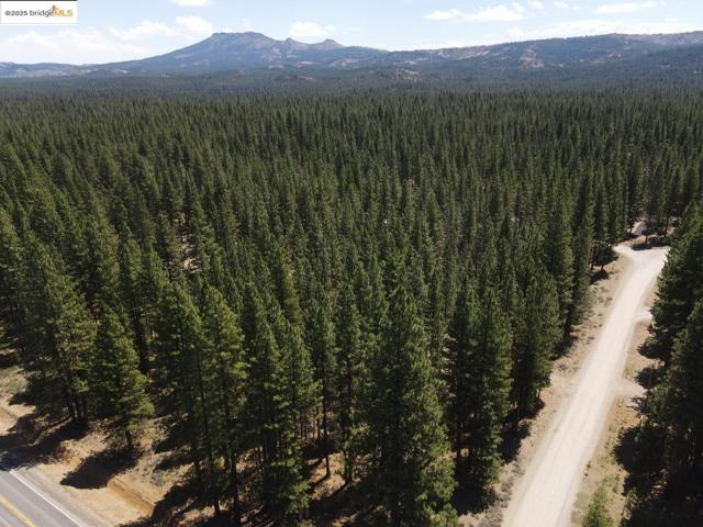45 Claireville RD, Portola CA: https://media.crmls.org/mediaz/471f03a7-ad0e-4aa1-a021-cef064fc2fb3.jpg