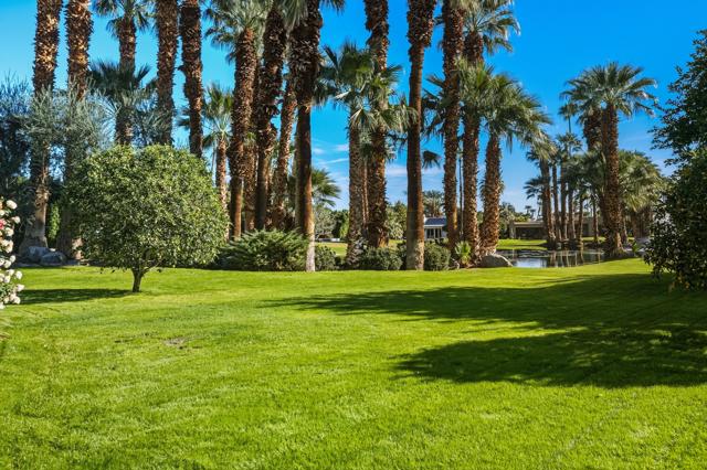 71170 W Thunderbird Terrace, Rancho Mirage CA: https://media.crmls.org/mediaz/472716cc-f87d-4fc9-acbe-cce89e693044.jpg
