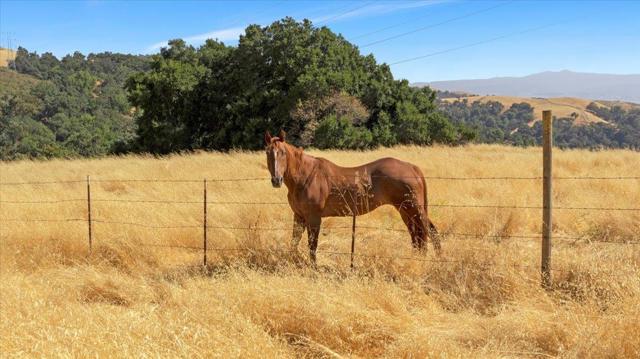 Image 7 of 22 For 0 Mt Hamilton