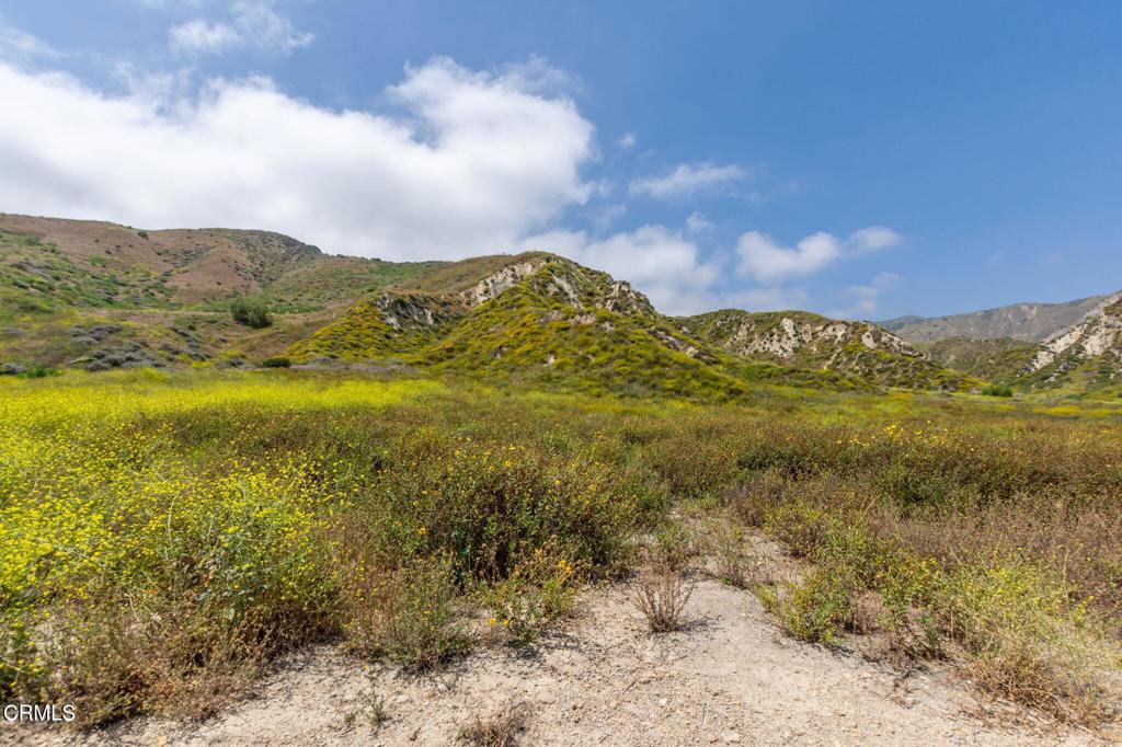 https://media.crmls.org/mediaz/472ca6b9-86ee-4855-8e2b-09aeb13d29e2.jpg?preset=X-Large