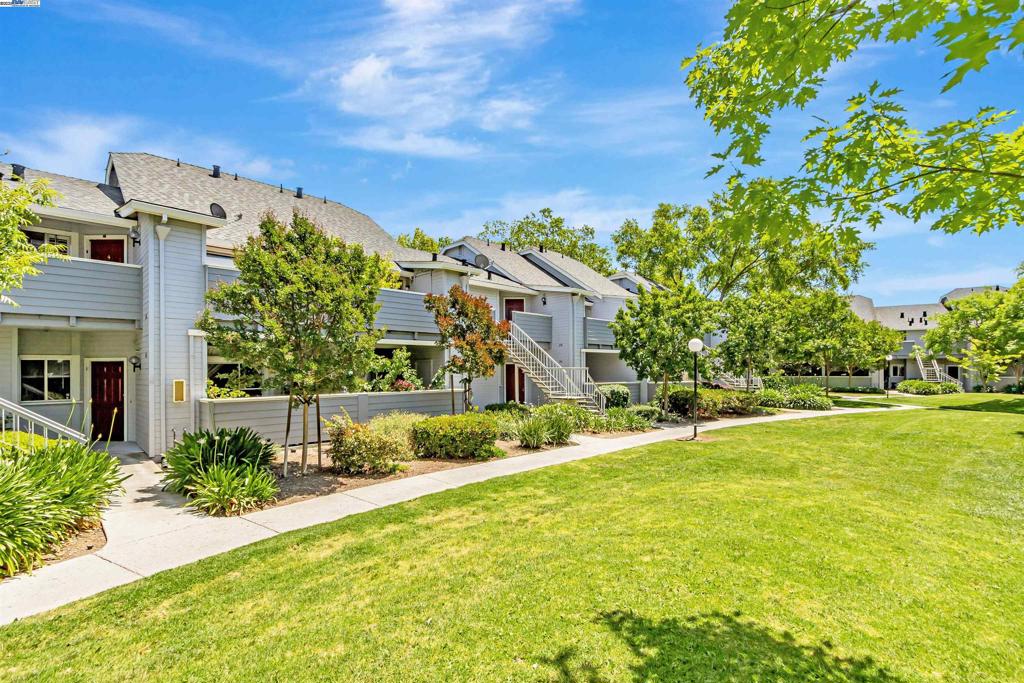 256 Shadow Run Dr