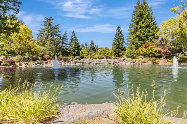11563 Country Spring Court, Cupertino CA: https://media.crmls.org/mediaz/47374e9f-3110-462e-9df0-63fade0d3847.jpg