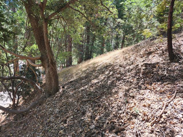 0 Edelweiss Drive, Crestline CA: https://media.crmls.org/mediaz/473d86a7-49c0-48fd-a150-e1354de42e3e.jpg