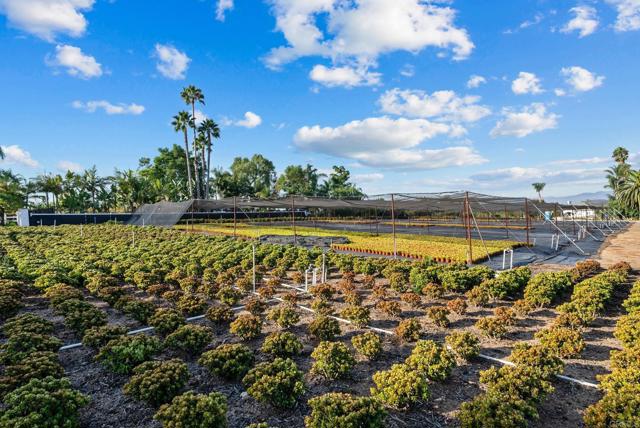 Detail Gallery Image 50 of 51 For 3519 Cazador Ln, Fallbrook,  CA 92028 - 3 Beds | 2 Baths